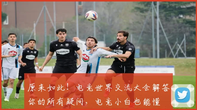 原来如此！电竞世界交流大会解答你的所有疑问，电竞小白也能懂