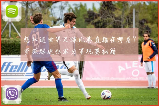 想知道世界足球比赛直播在哪看？资深球迷独家分享观赛秘籍
