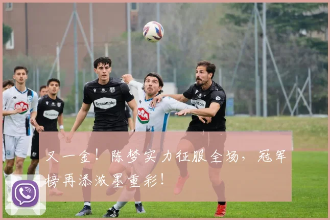 又一金！陈梦实力征服全场，冠军榜再添浓墨重彩！